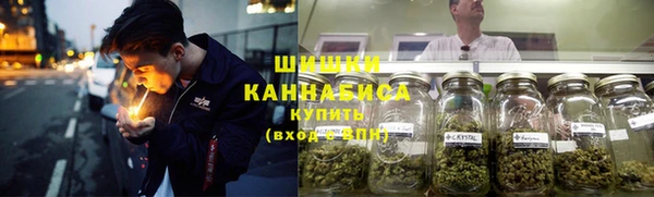 ГАЛЛЮЦИНОГЕННЫЕ ГРИБЫ Корсаков