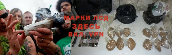 ГАЛЛЮЦИНОГЕННЫЕ ГРИБЫ Корсаков