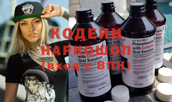 ГАЛЛЮЦИНОГЕННЫЕ ГРИБЫ Корсаков