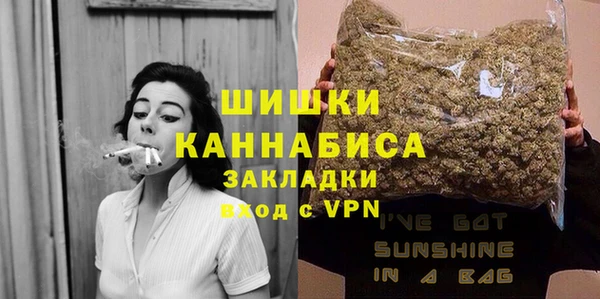 ГАЛЛЮЦИНОГЕННЫЕ ГРИБЫ Корсаков
