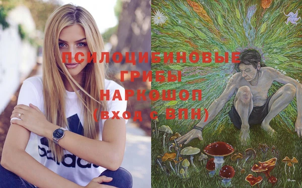 кристаллы Краснослободск