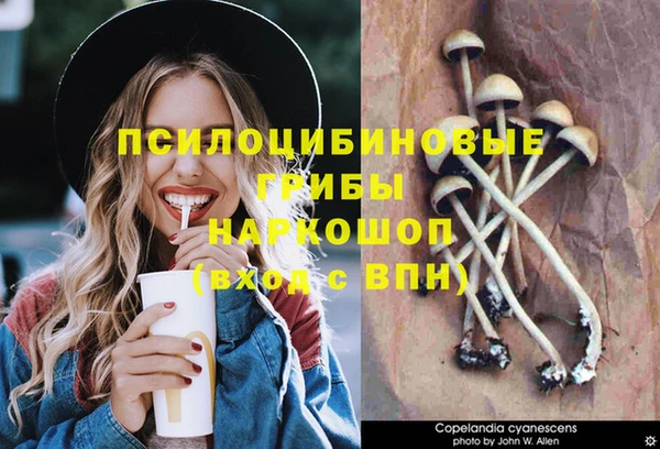 герыч Коряжма