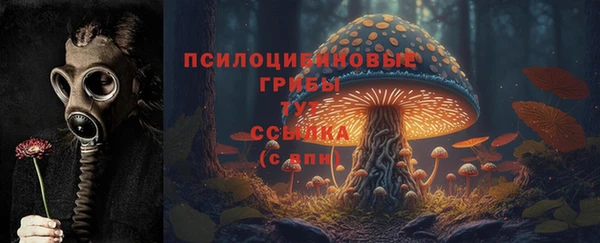 прущие крисы Костерёво