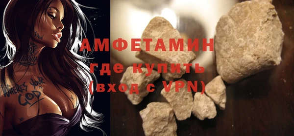 ГАЛЛЮЦИНОГЕННЫЕ ГРИБЫ Корсаков